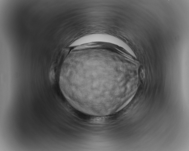 X0000096400084200802211213