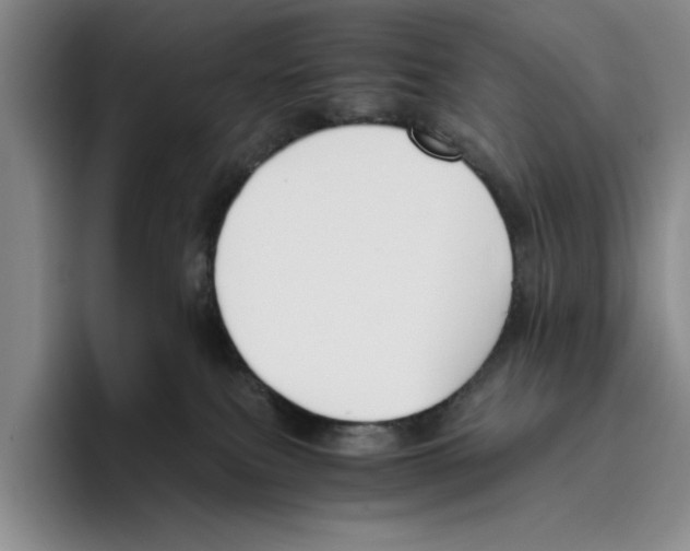 X0000096400087200802211213