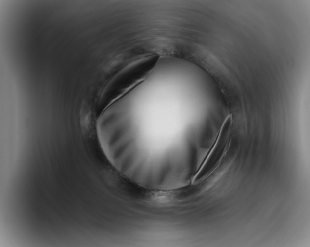 X0000096400088200802211213