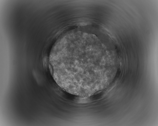 X0000096400093200802211213