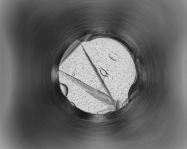 X0000096400095200802211213