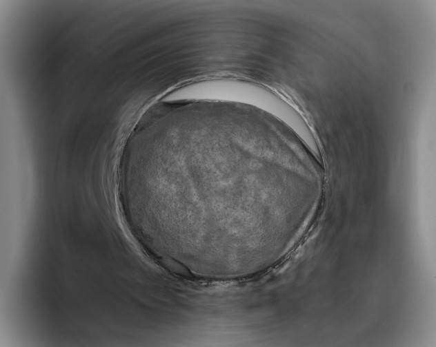 X0000096400097200802211212