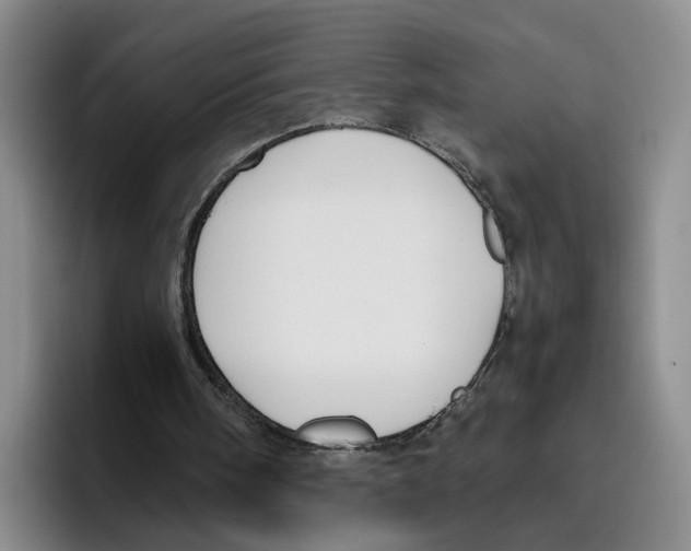 X0000096400098200802211212