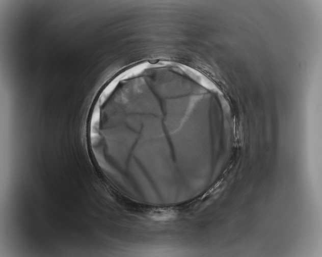 X0000096400099200802211212