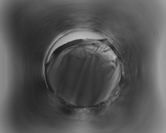 X0000096400100200802211212