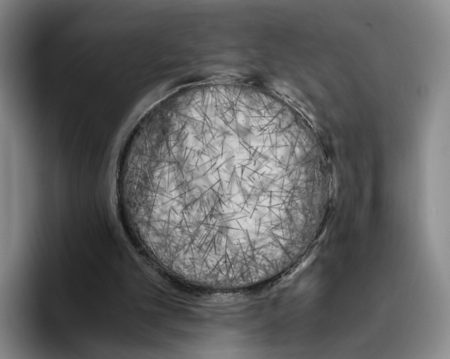 X0000096400101200802211212