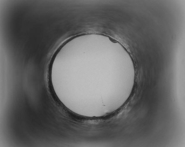 X0000096400103200802211212