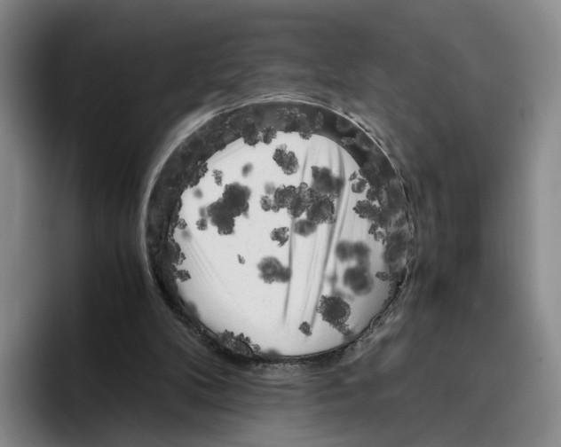 X0000096400104200802211212