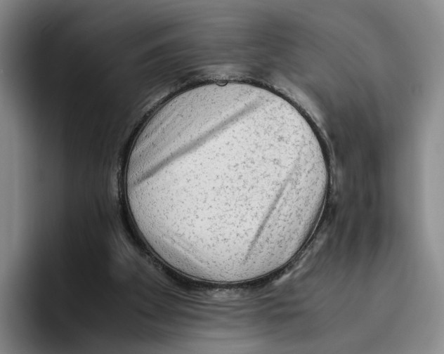 X0000096400105200802211212