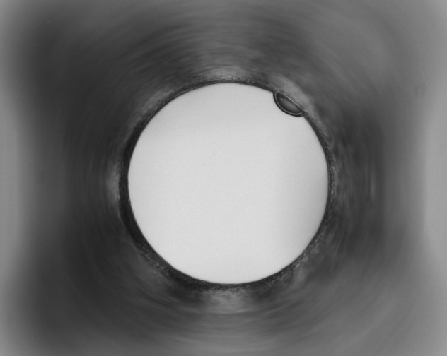 X0000096400106200802211212