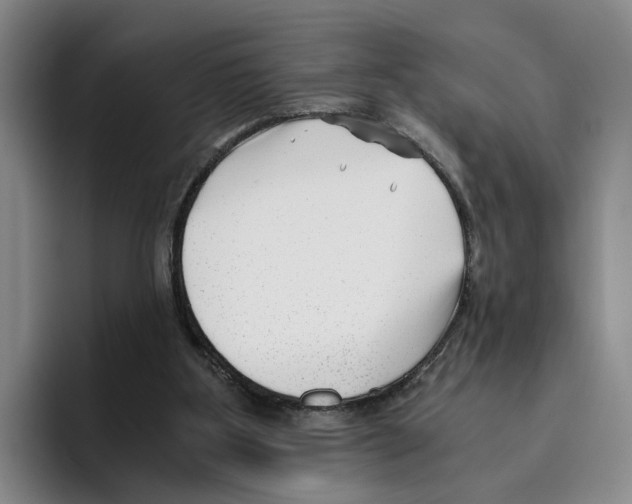 X0000096400107200802211212