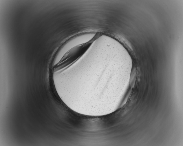 X0000096400108200802211212