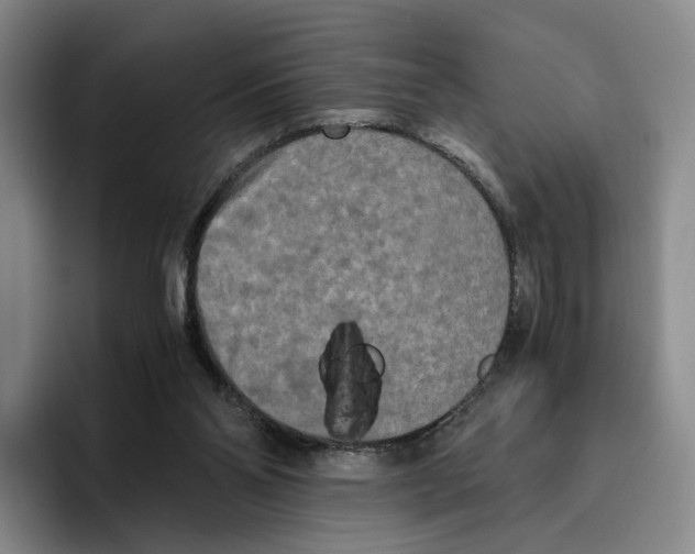 X0000096400110200802211212