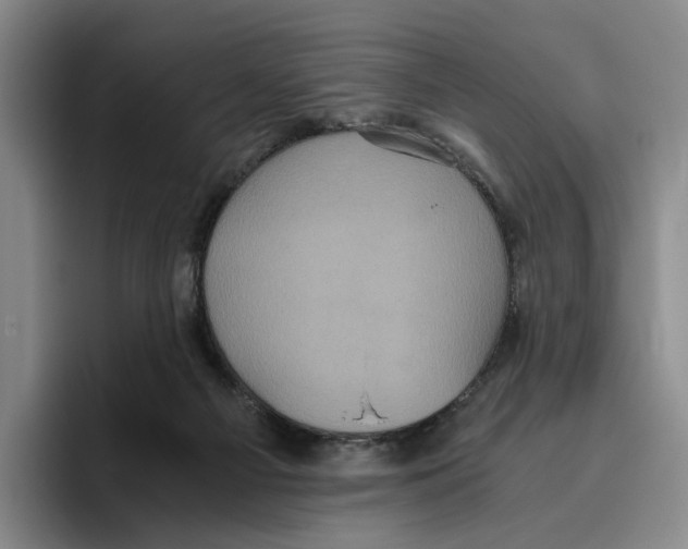 X0000096400121200802211212