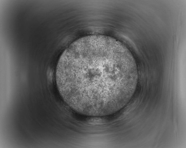 X0000096400123200802211212