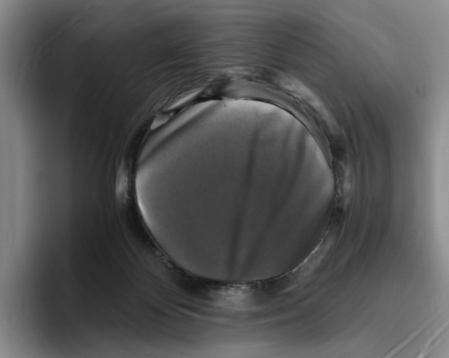 X0000096400124200802211212