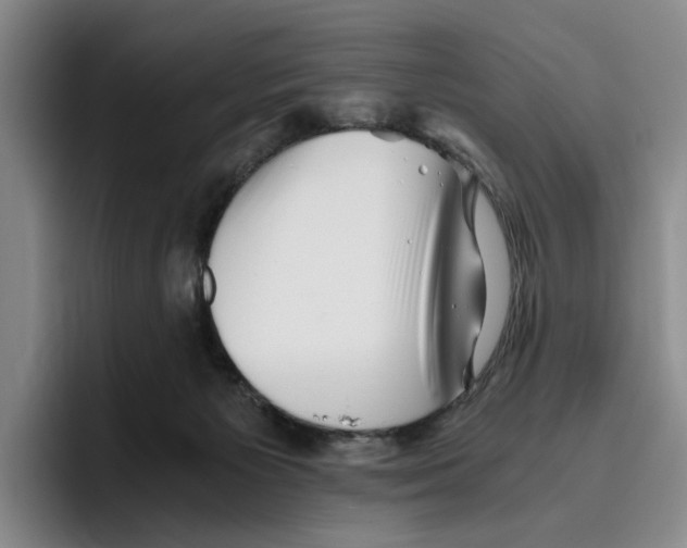 X0000096400125200802211212