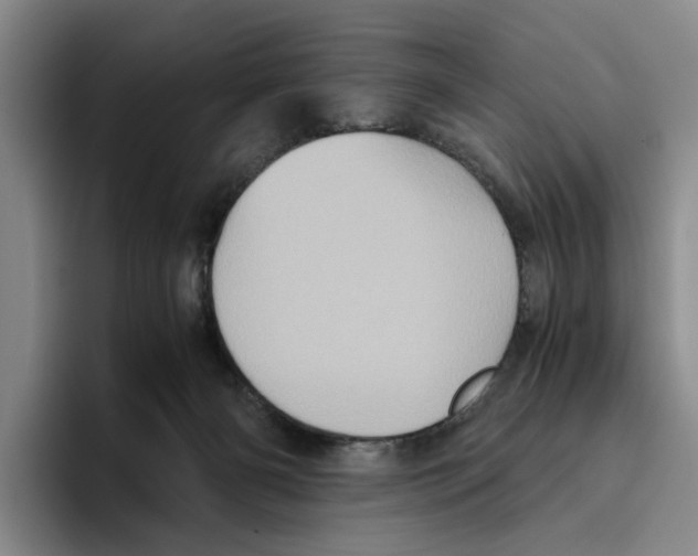 X0000096400126200802211212