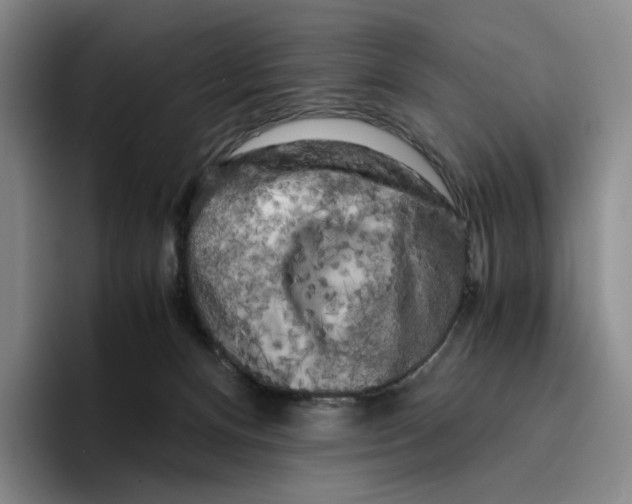 X0000096400128200802211212