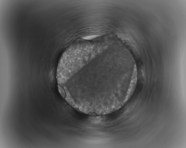 X0000096400131200802211212