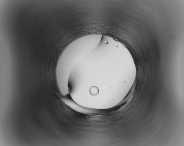 X0000096400132200802211212