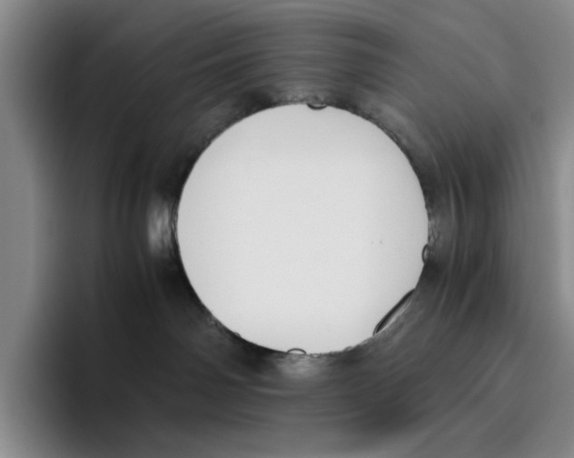 X0000096400142200802211211