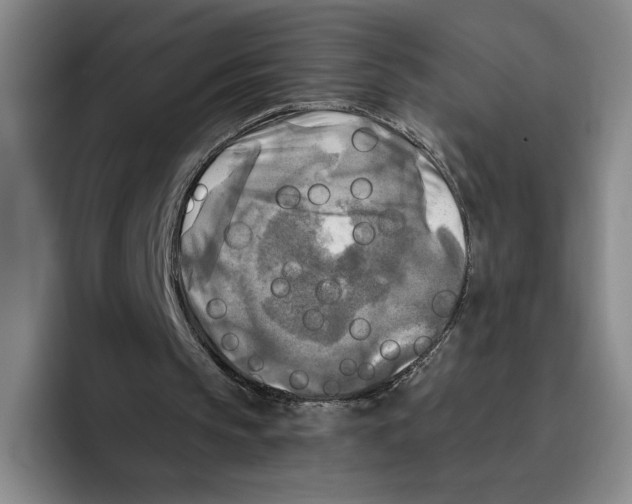 X0000096400145200802211211