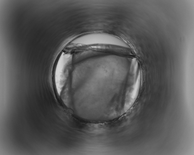 X0000096400147200802211211