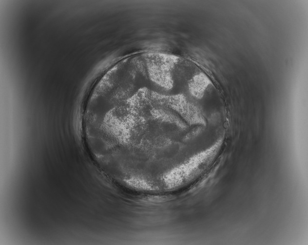 X0000096400149200802211211