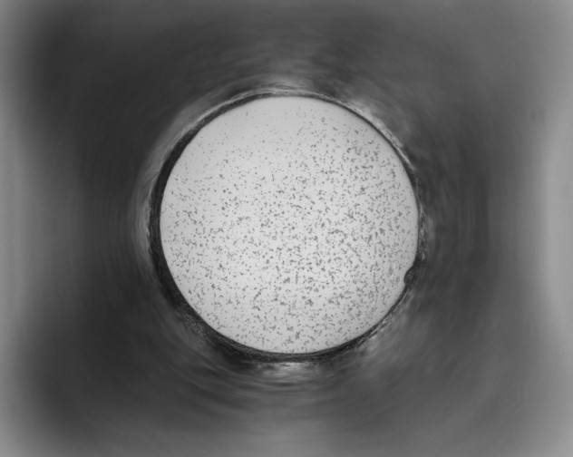 X0000096400151200802211211