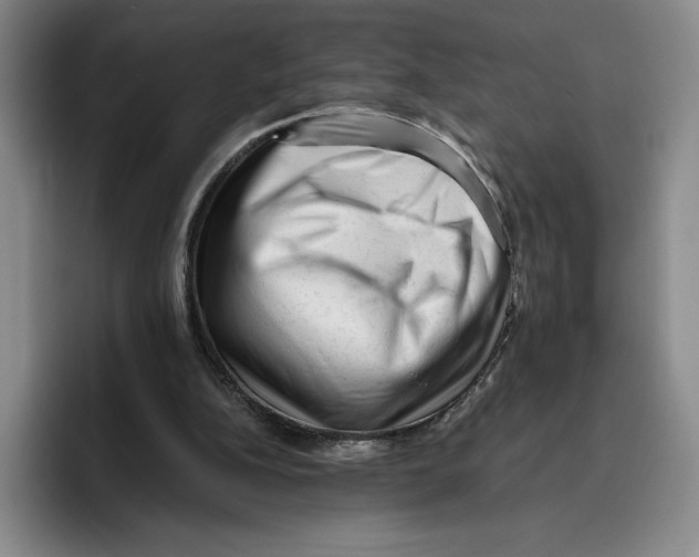 X0000096400152200802211211