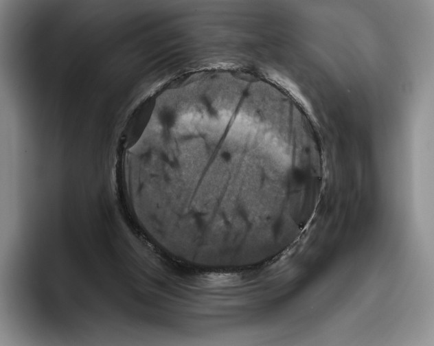 X0000096400154200802211211