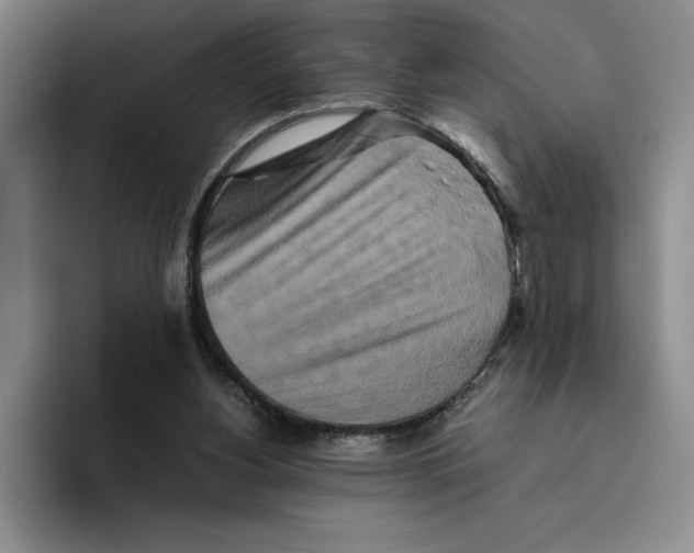 X0000096400156200802211211