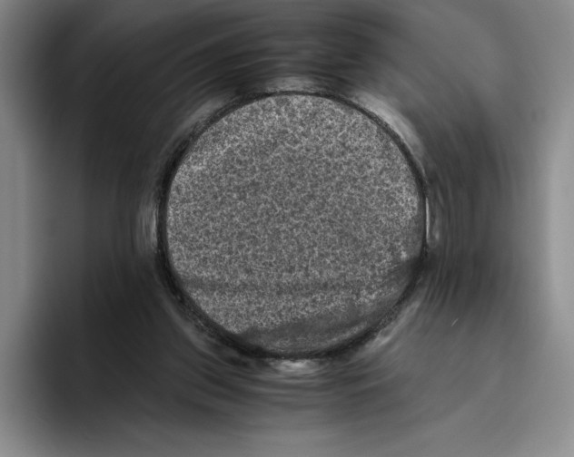 X0000096400157200802211211