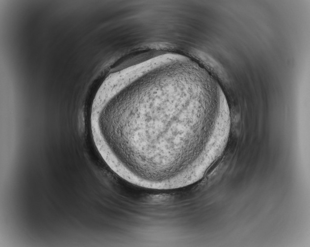 X0000096400158200802211211