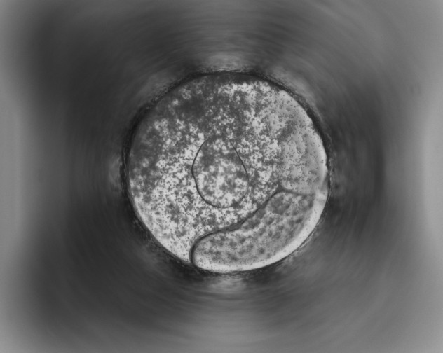 X0000096400162200802211211