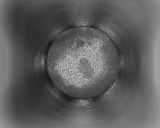 X0000096400166200802211211