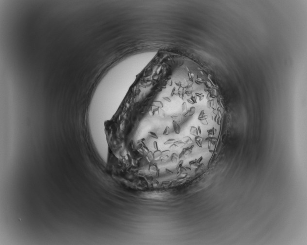 X0000096400168200802211211
