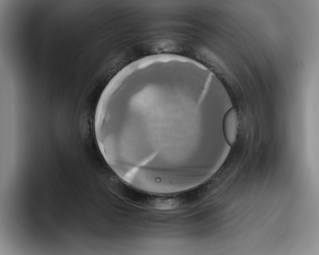 X0000096400169200802211211