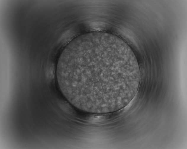 X0000096400174200802211211