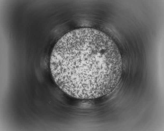 X0000096400175200802211211