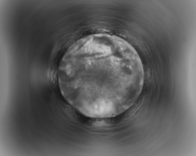 X0000096400177200802211211