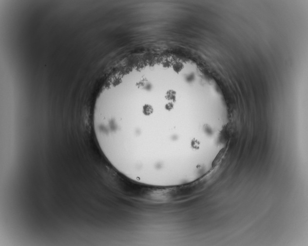 X0000096400178200802211211