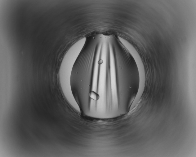 X0000096400180200802211211