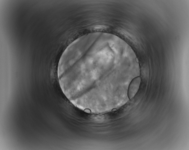 X0000096400181200802211211