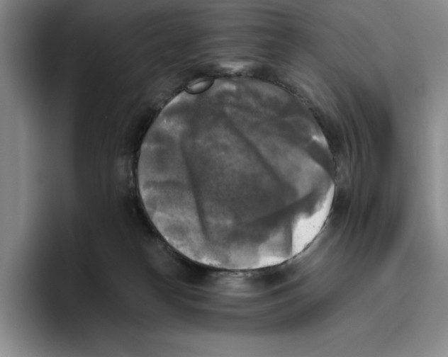 X0000096400182200802211211