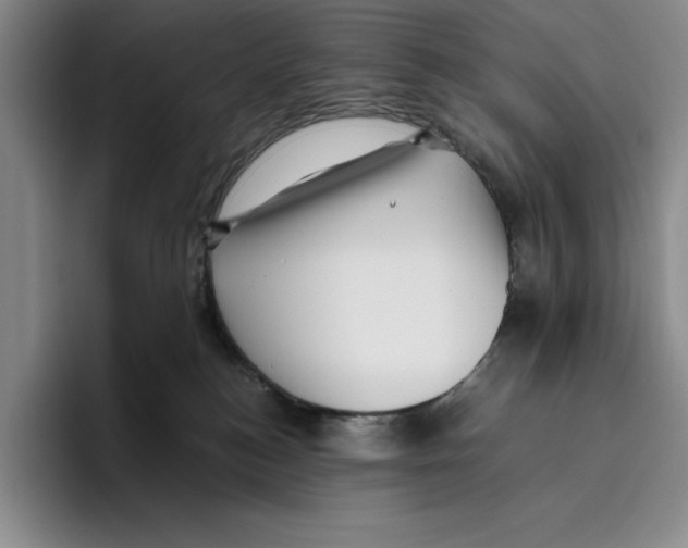 X0000096400184200802211211