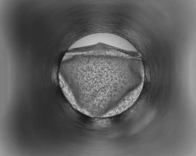 X0000096400185200802211211