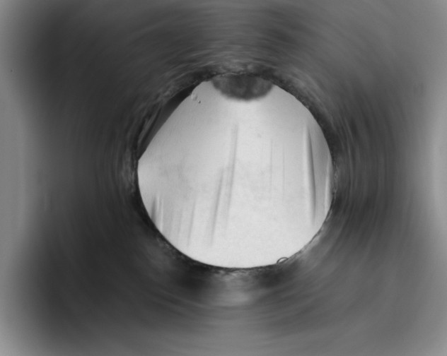 X0000096400186200802211211