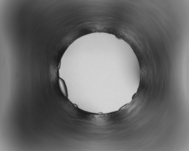 X0000096400188200802211211